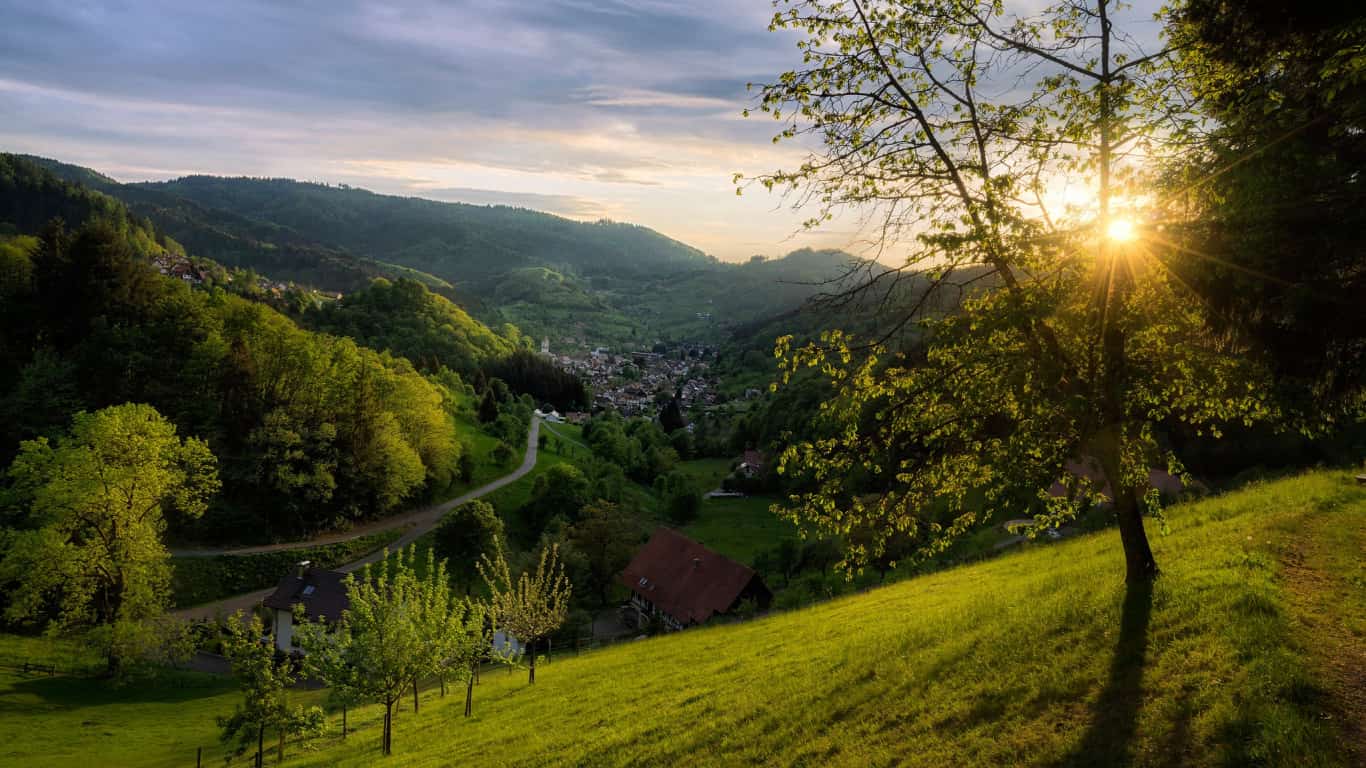 Black Forest Germany Wallpapers Top Free Black Forest Germany