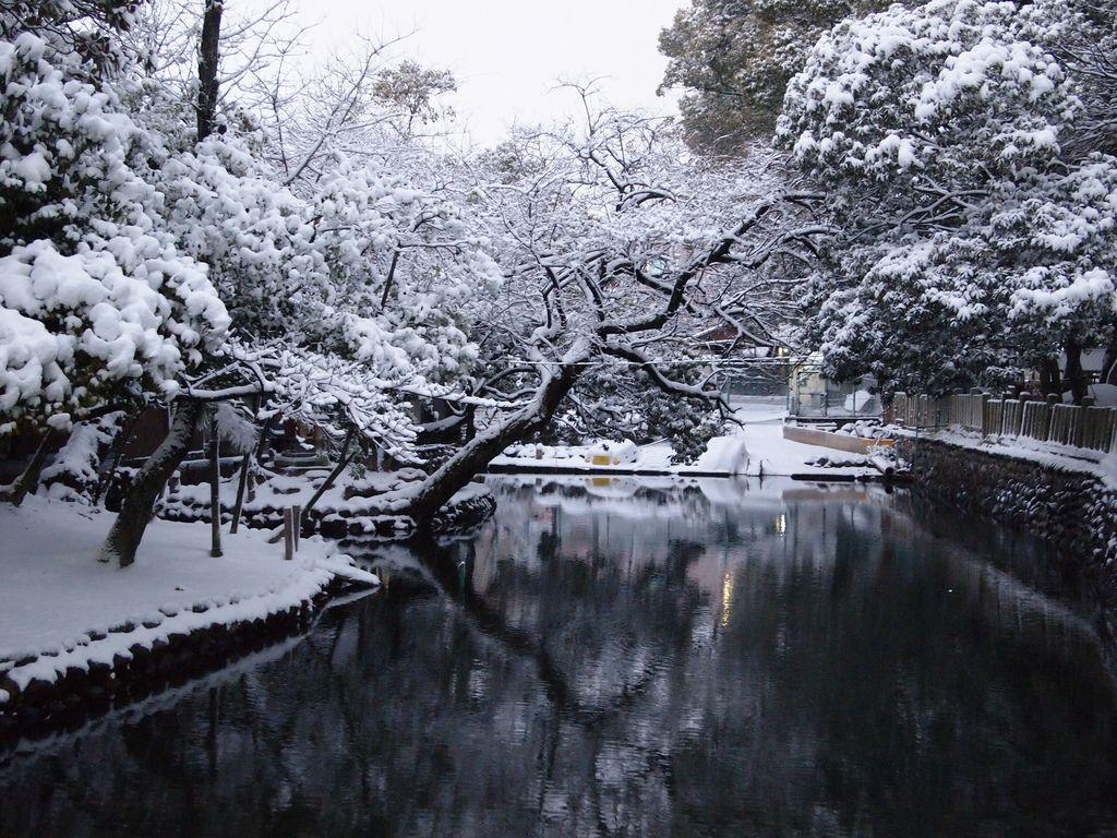 Winter Japanese Garden Wallpapers Top Free Winter Japanese Garden