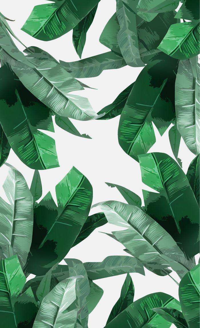 Leaf Print Wallpapers Top Free Leaf Print Backgrounds WallpaperAccess