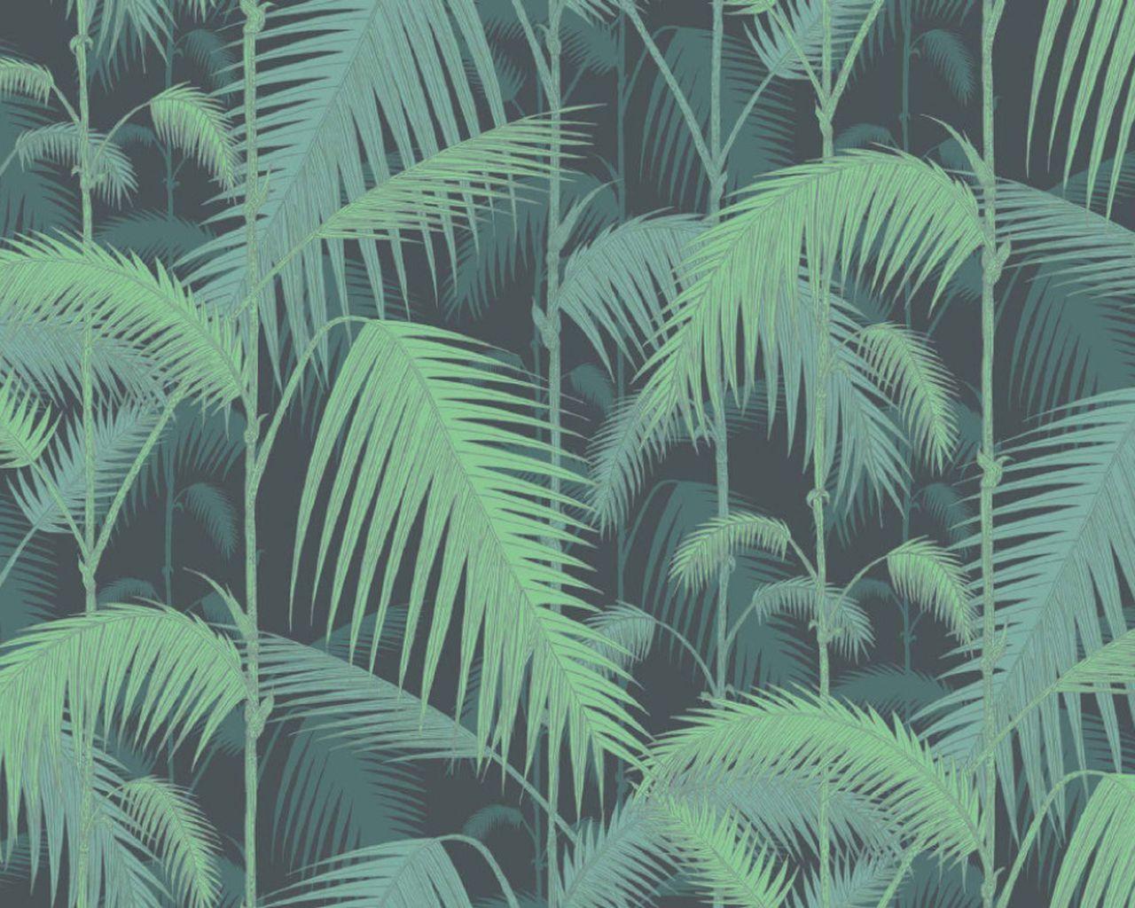 Leaf Print Wallpapers Top Free Leaf Print Backgrounds WallpaperAccess