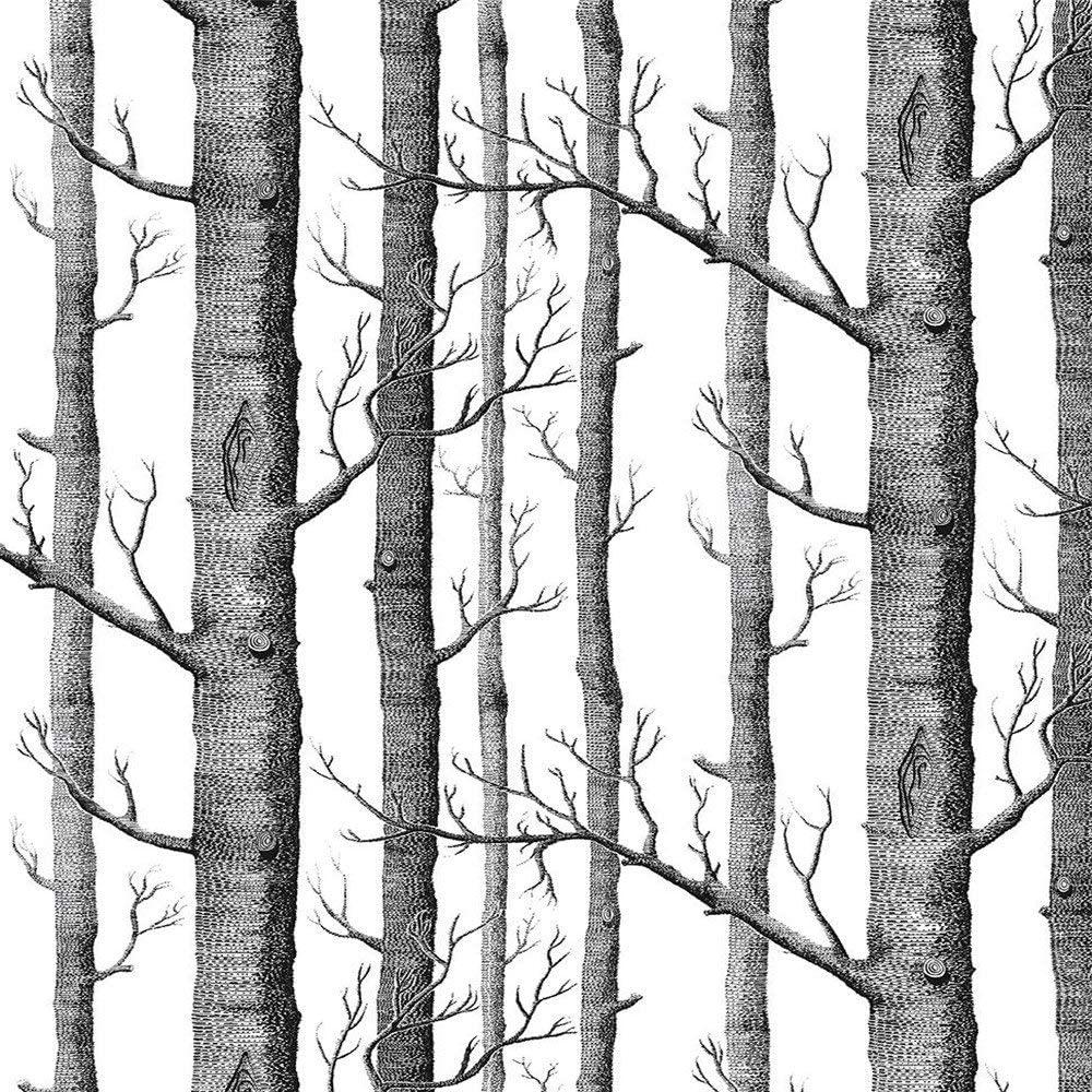 Black and White Forest Wallpapers Top Free Black and White Forest
