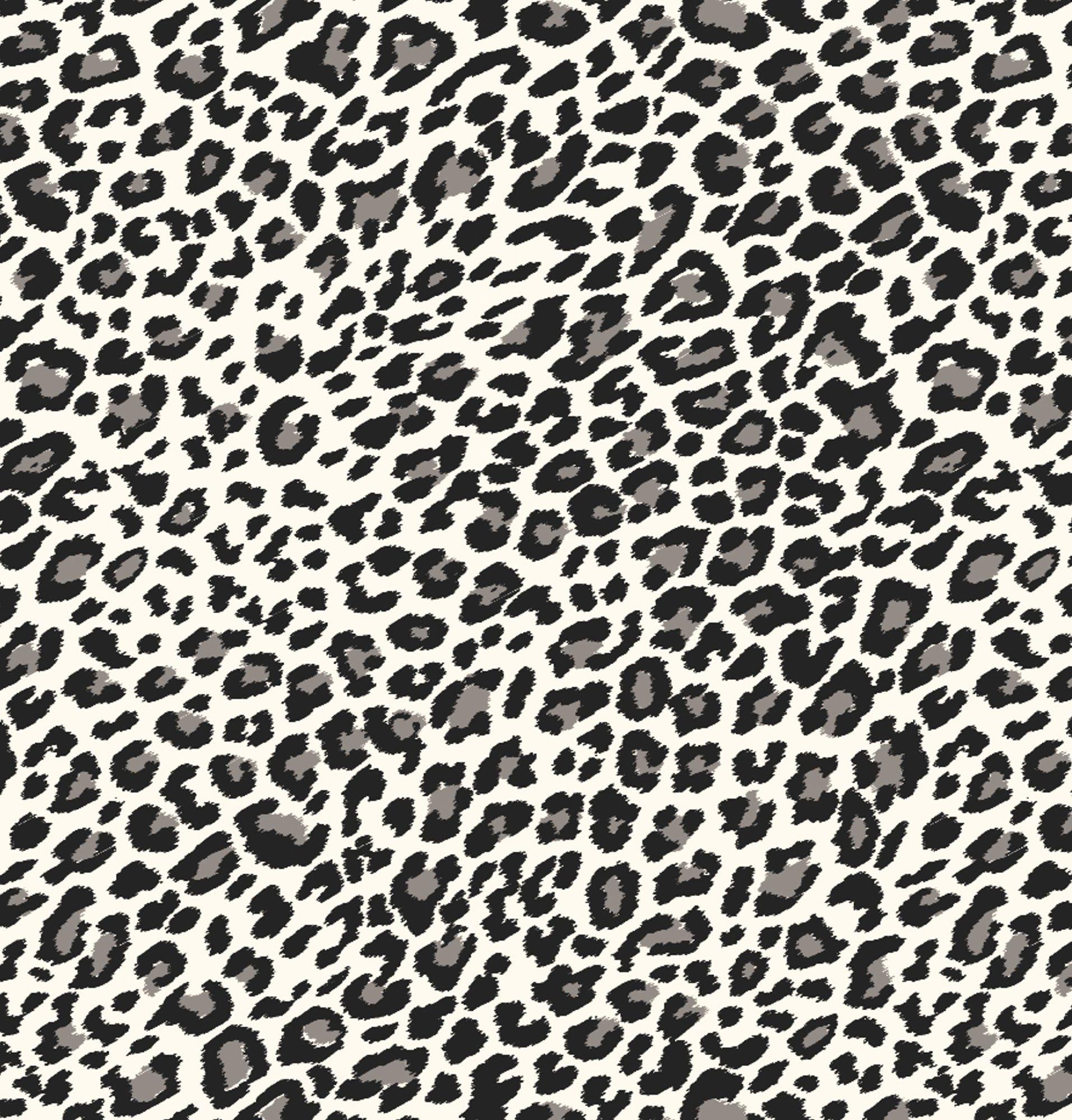Black and White Cheetah Wallpapers Top Free Black and White Cheetah Backgrounds WallpaperAccess