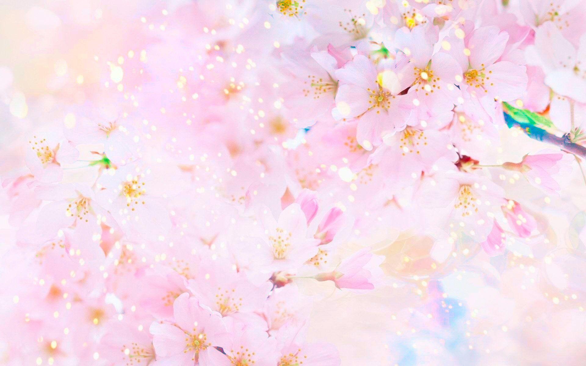 Pastel Anime Laptop Wallpapers Top Free Pastel Anime Laptop