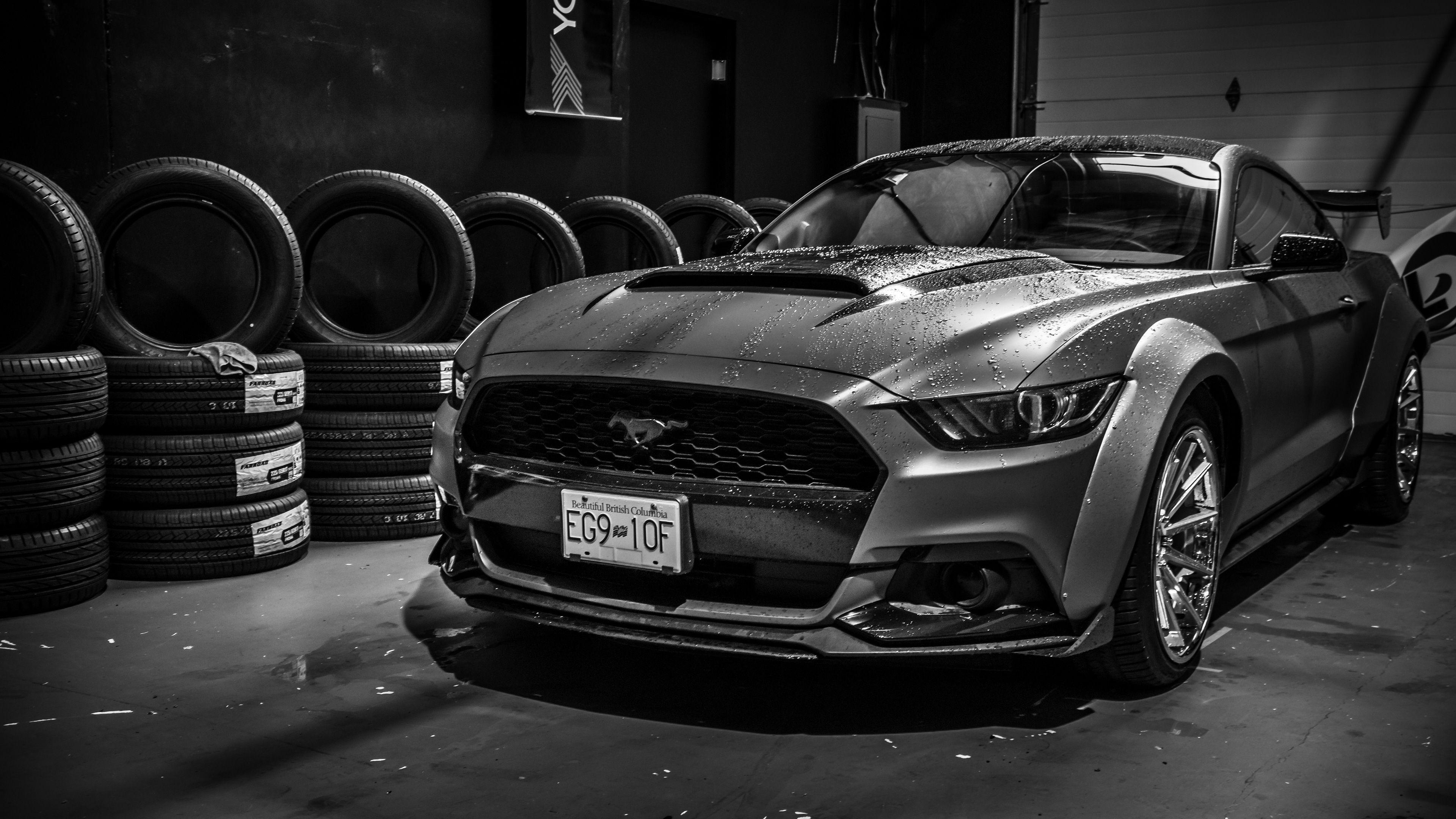 Black and White Mustang Wallpapers Top Free Black and White Mustang