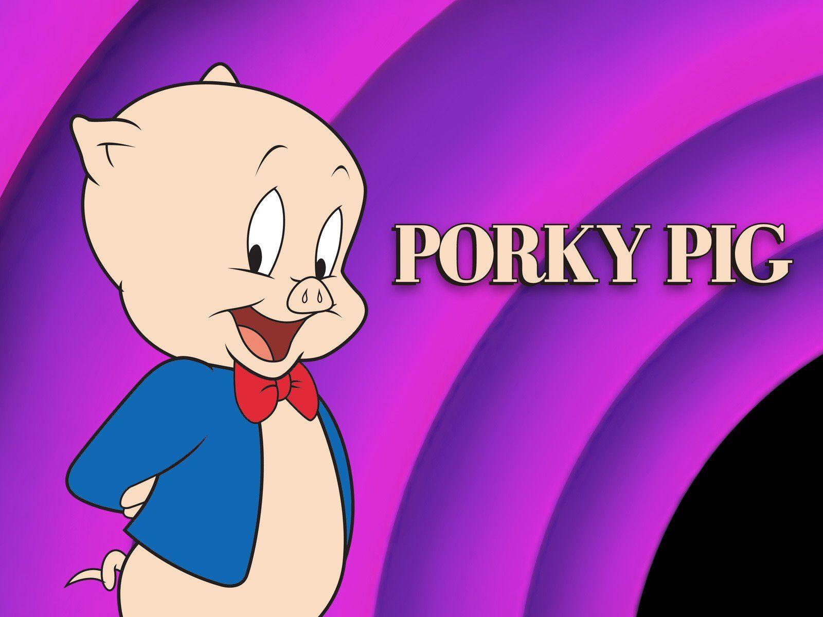 Porky Pig Wallpapers Top Free Porky Pig Backgrounds WallpaperAccess