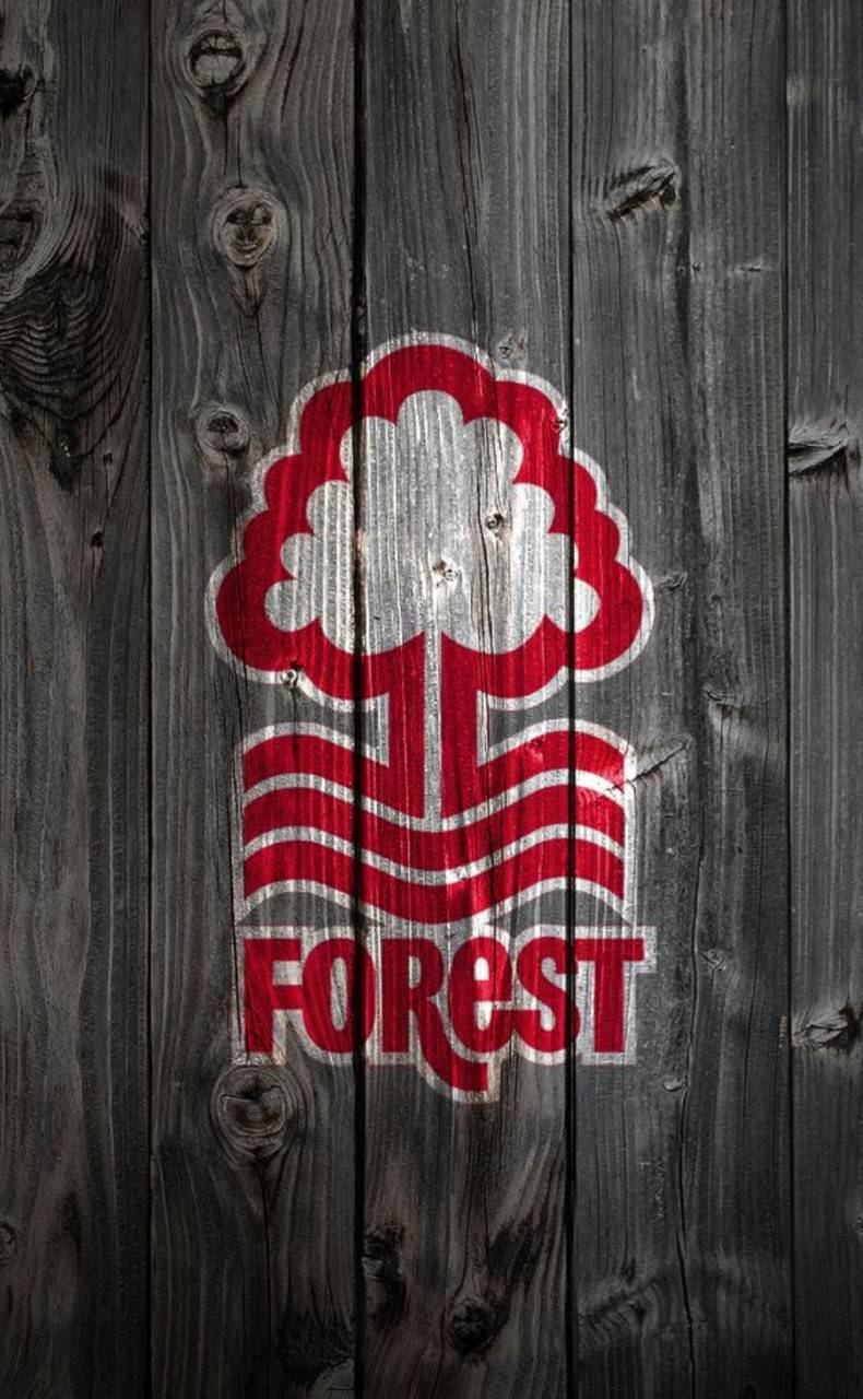 Nottingham Forest Wallpapers Top Free Nottingham Forest Backgrounds