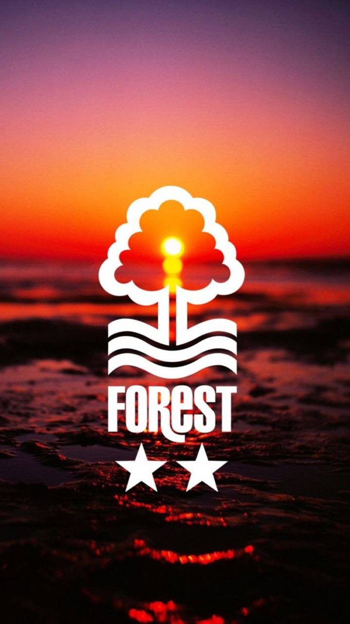 Nottingham Forest Wallpapers Top Free Nottingham Forest Backgrounds