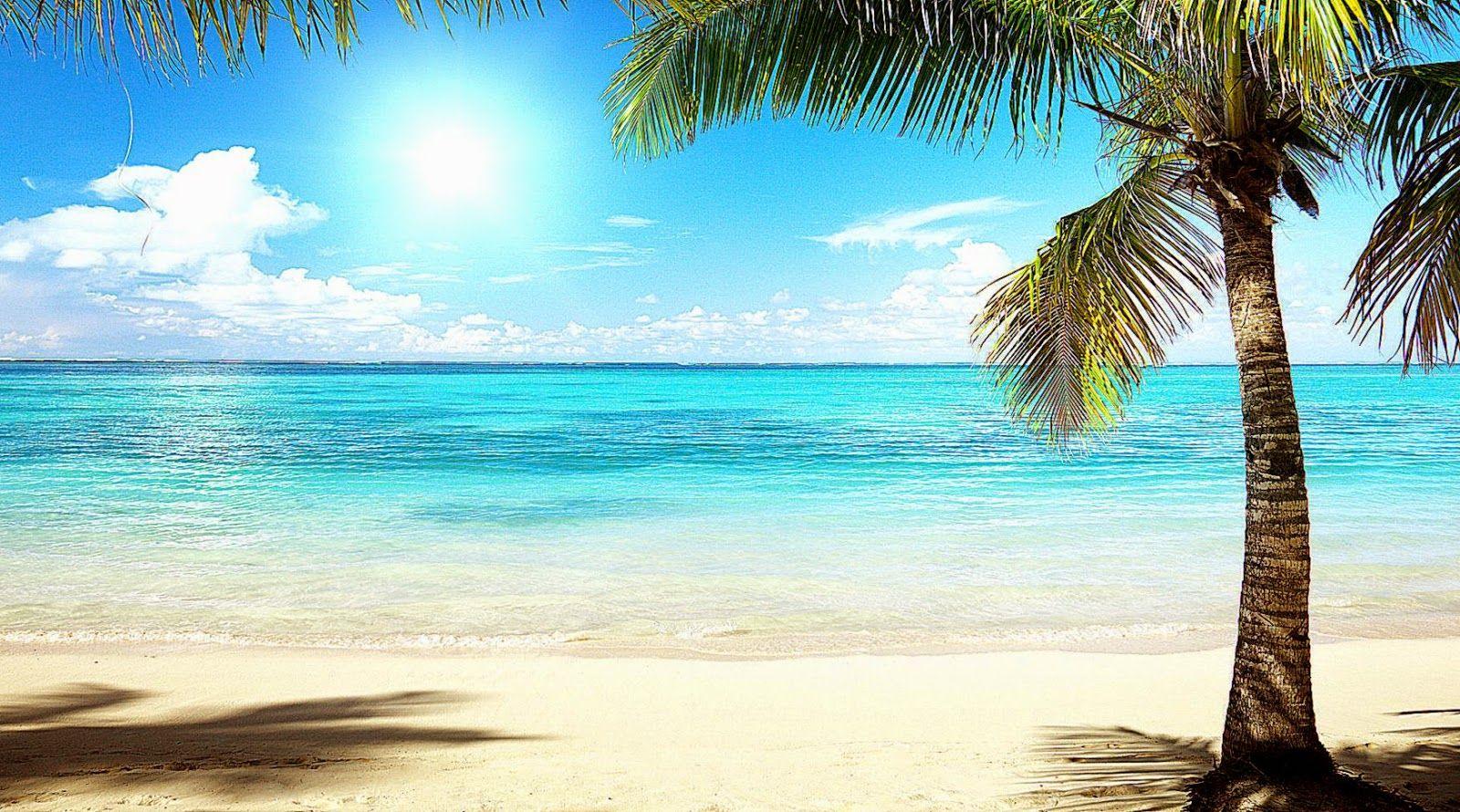 Florida Beach Wallpapers Top Free Florida Beach Backgrounds