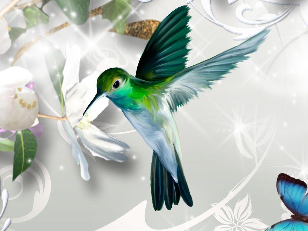 Abstract Hummingbird Wallpapers Top Free Abstract Hummingbird