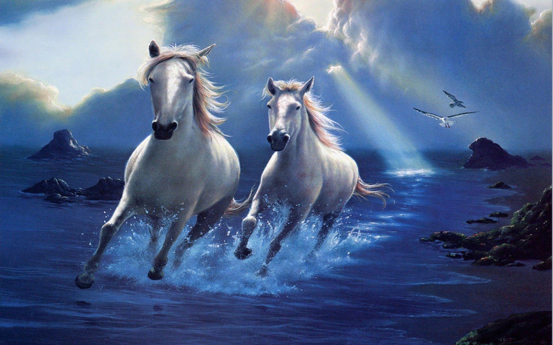 Running Horses Wallpapers Top Free Running Horses Backgrounds