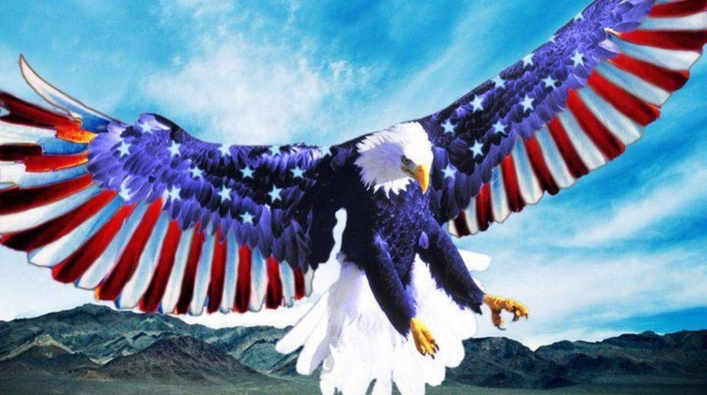 USA Eagle Wallpapers Top Free USA Eagle Backgrounds WallpaperAccess