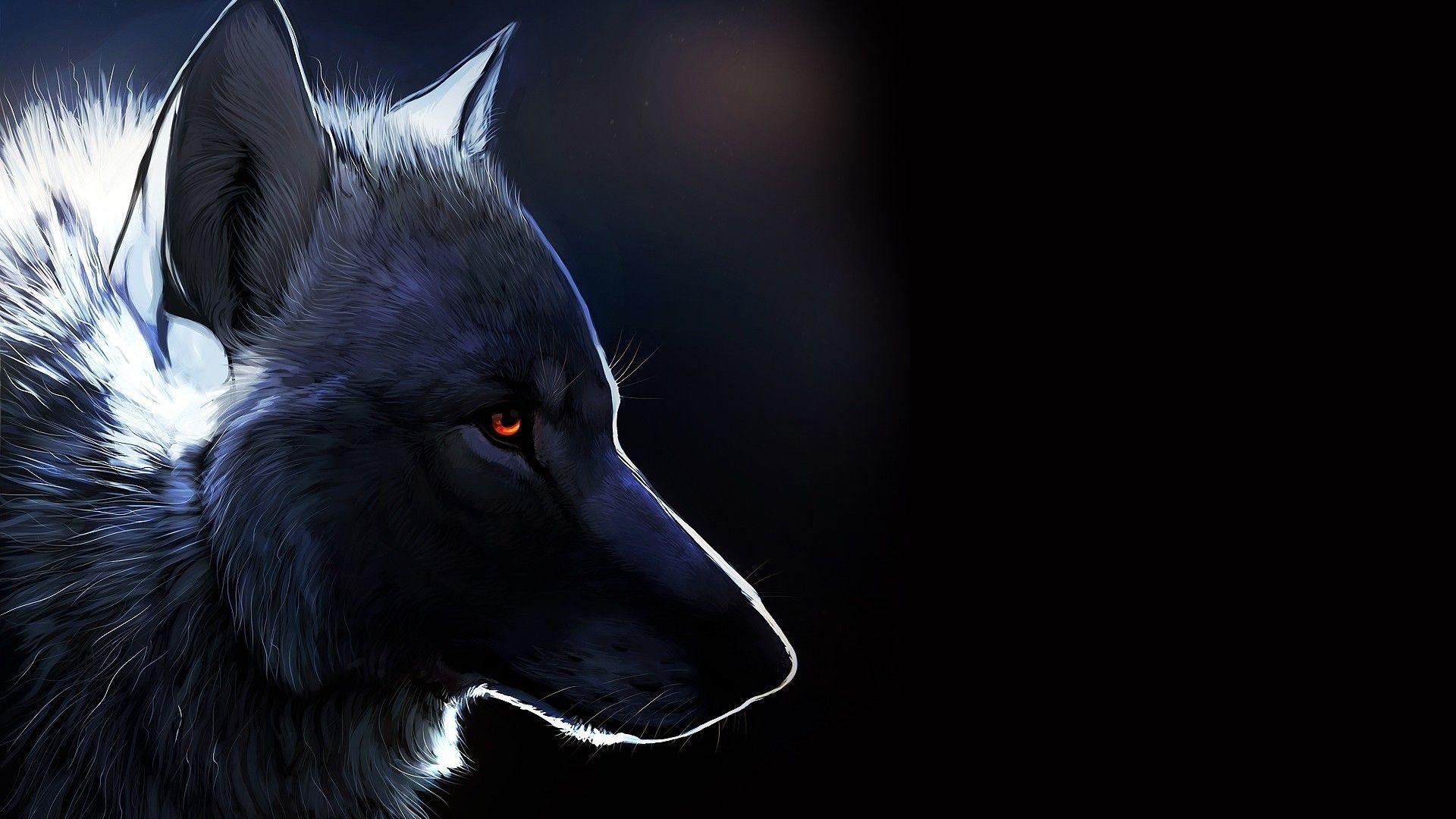 Black Wolf Wallpapers Top Free Black Wolf Backgrounds WallpaperAccess