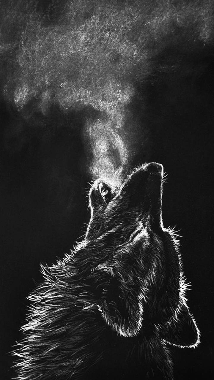 Black Wolf Hd Wallpapers 1080P For Mobile Wallpaper car hd 1080x1920