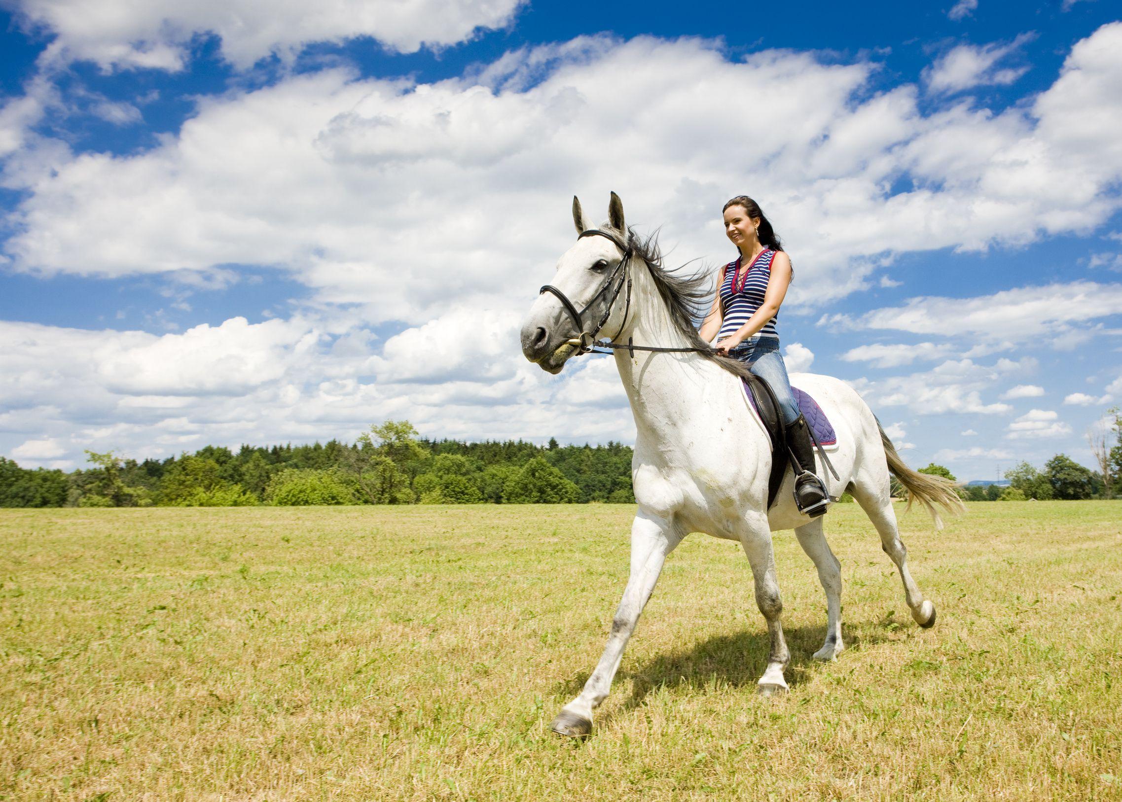 Horse Riding Wallpapers Top Free Horse Riding Backgrounds