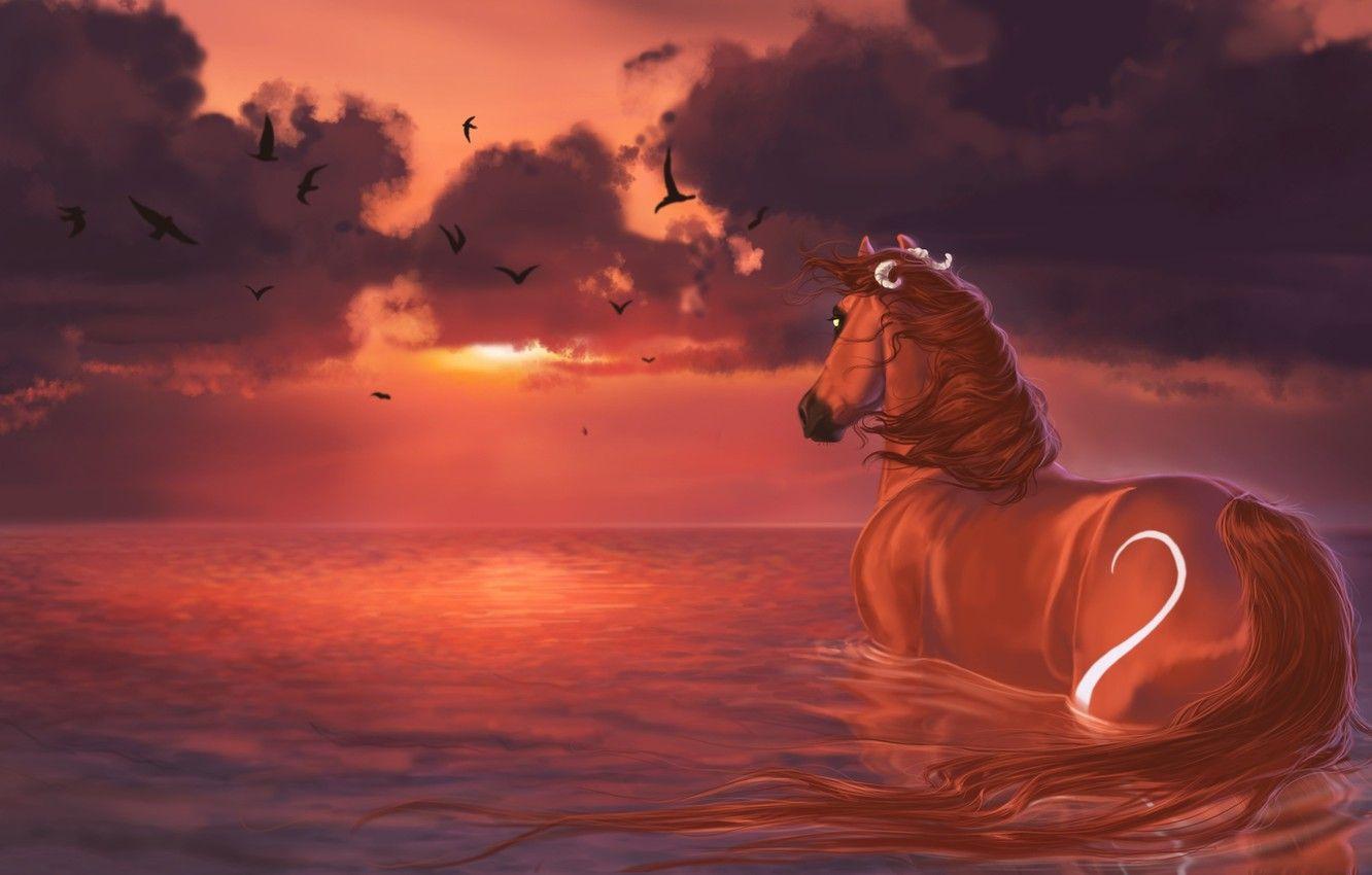 Water Horse Wallpapers Top Free Water Horse Backgrounds WallpaperAccess