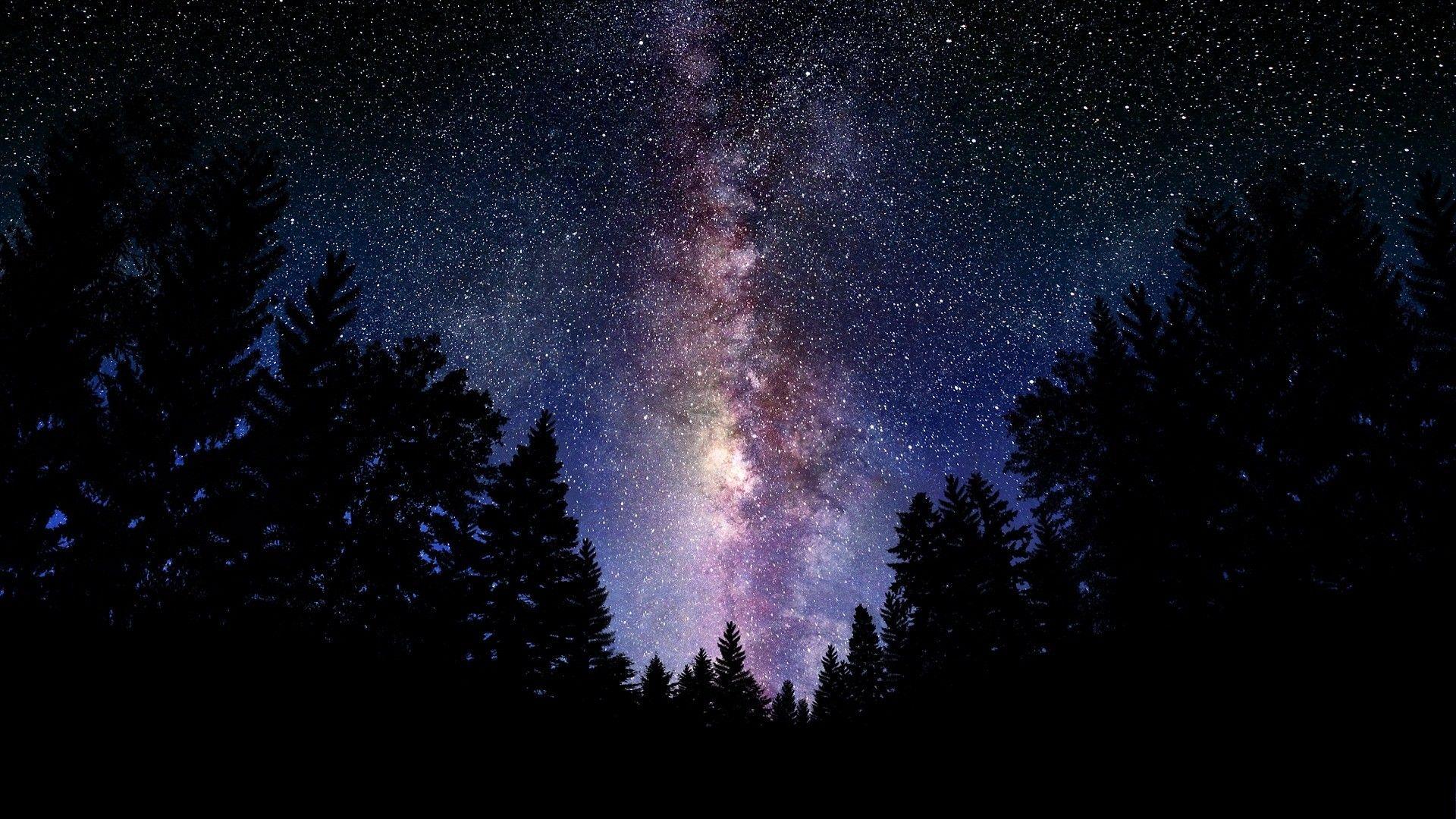Galaxy Tree Wallpapers Top Free Galaxy Tree Backgrounds WallpaperAccess