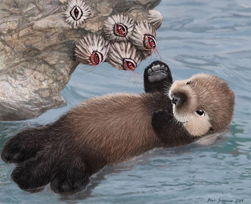 Baby Otter Wallpapers Top Free Baby Otter Backgrounds WallpaperAccess