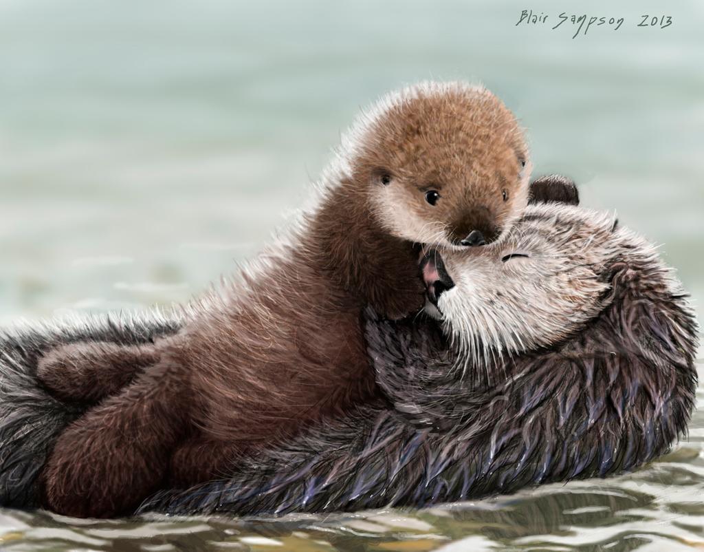Baby Otter Wallpapers Top Free Baby Otter Backgrounds WallpaperAccess