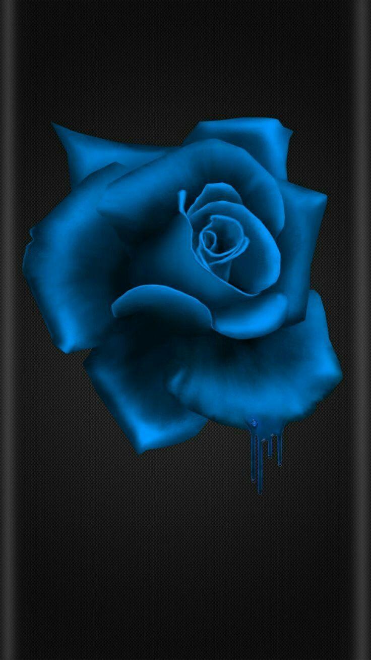 Black and Blue Flower Wallpapers Top Free Black and Blue Flower