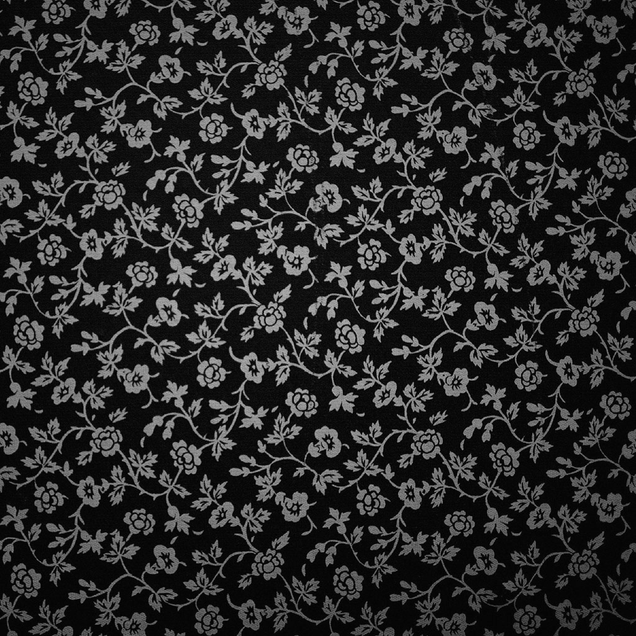 Peach and White Flower Wallpapers Top Free Peach and White Flower