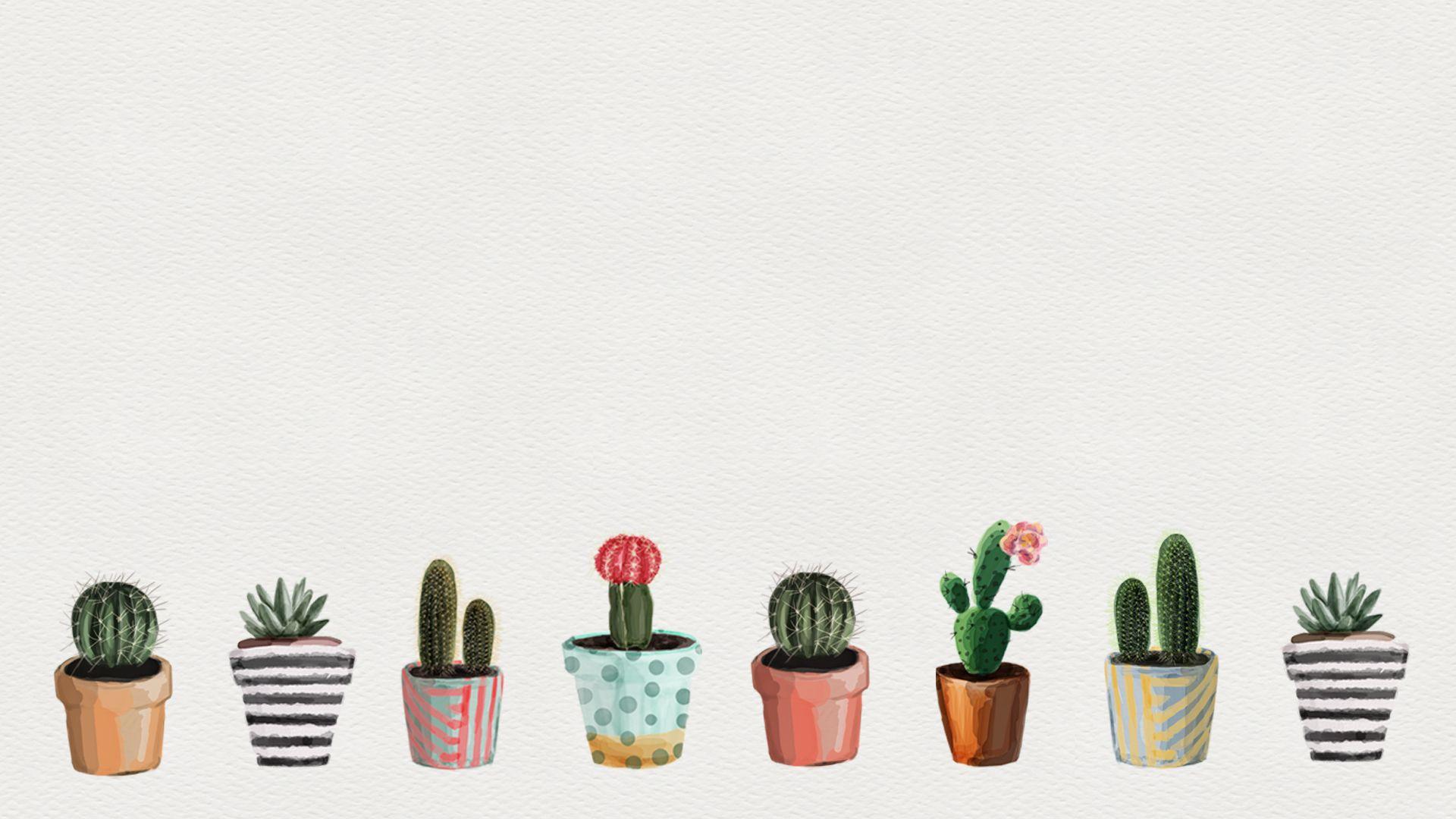Cactus Print Wallpapers Top Free Cactus Print Backgrounds