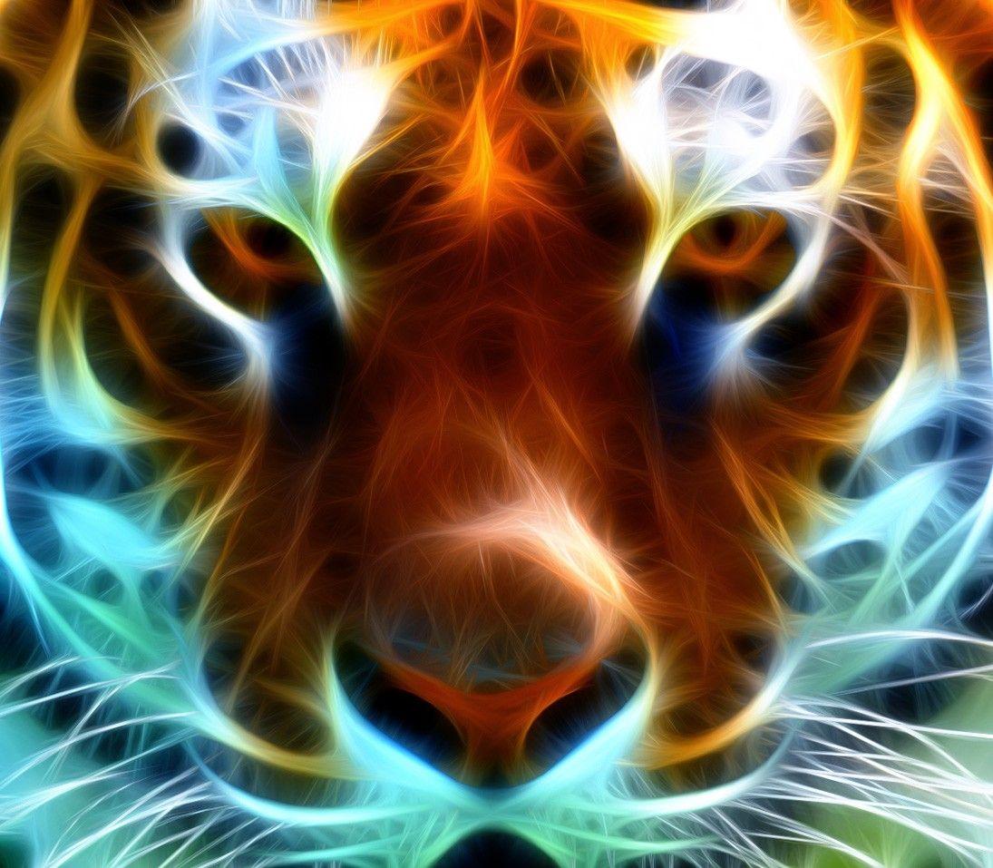 Neon Animals Wallpapers Top Free Neon Animals Backgrounds