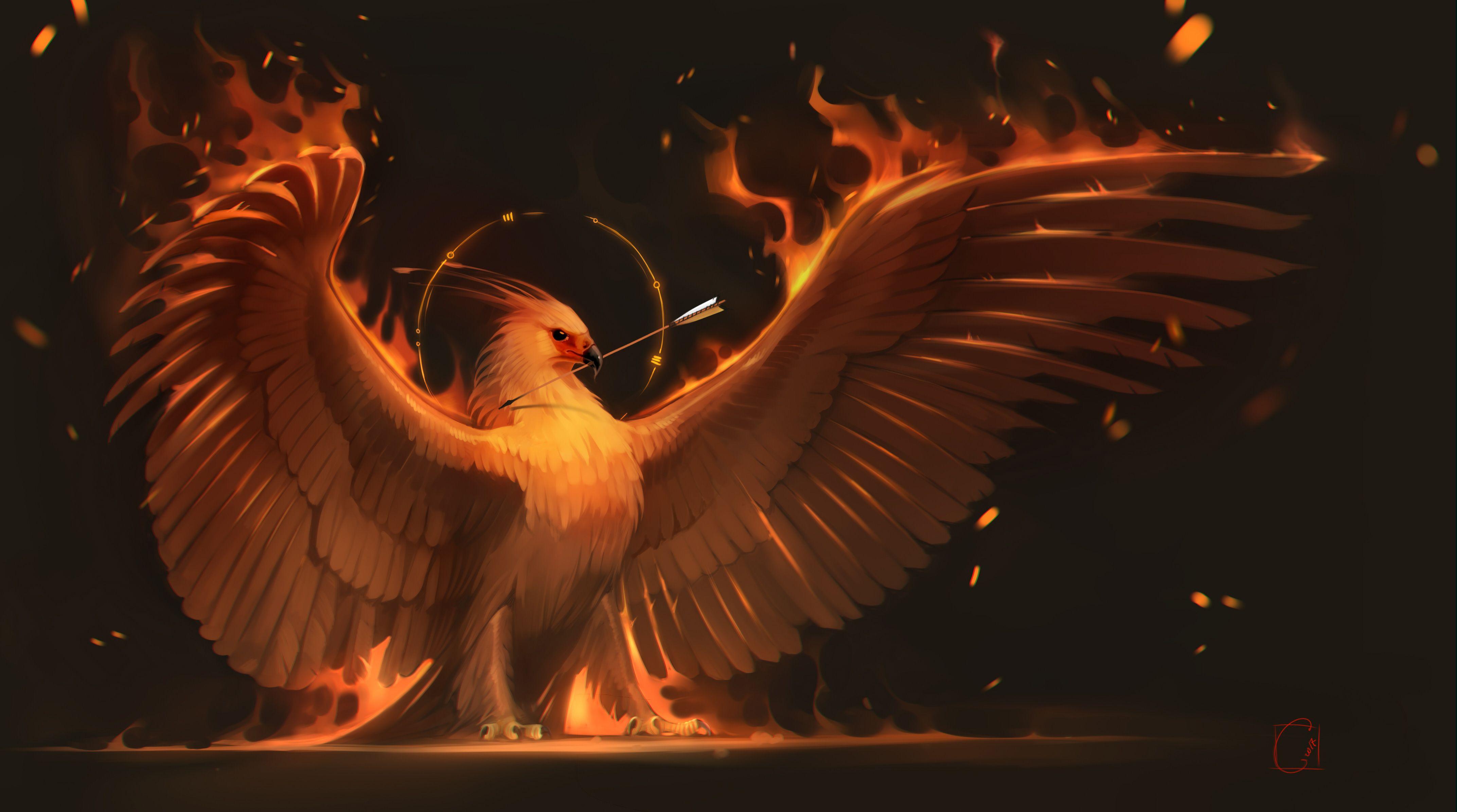 4K Phoenix Wallpapers Top Free 4K Phoenix Backgrounds WallpaperAccess