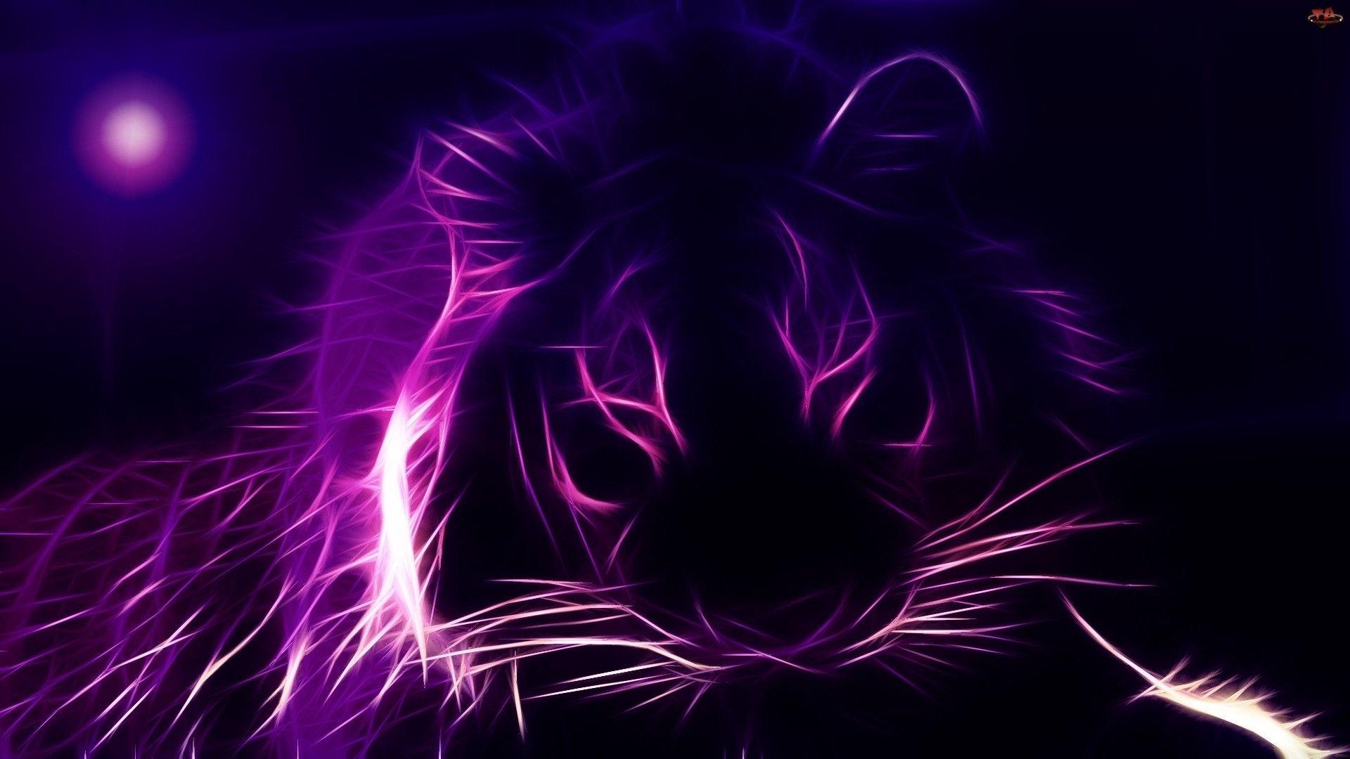 Neon Animals Wallpapers Top Free Neon Animals Backgrounds