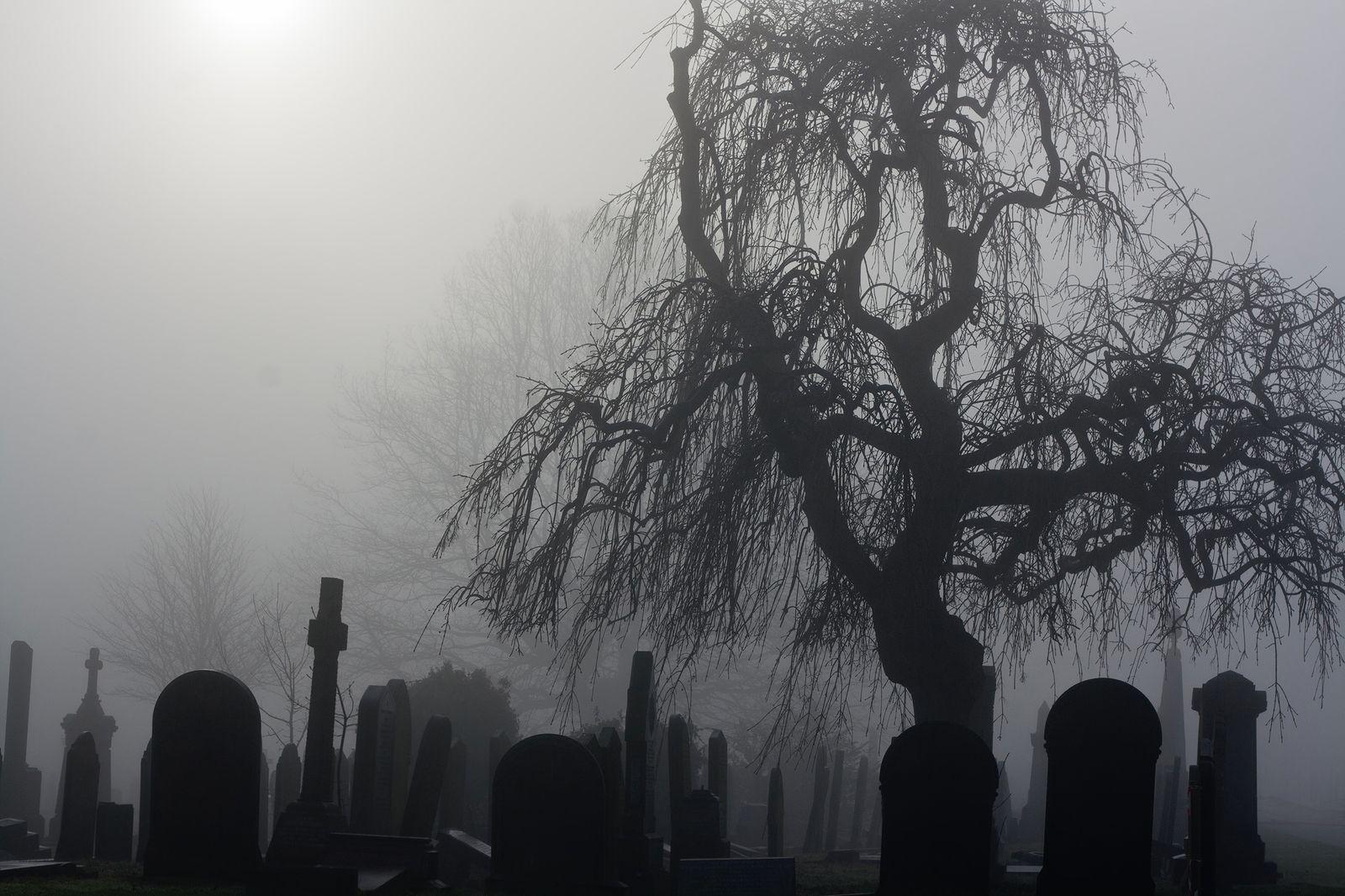 Dark Cemetery Wallpapers Top Free Dark Cemetery Backgrounds