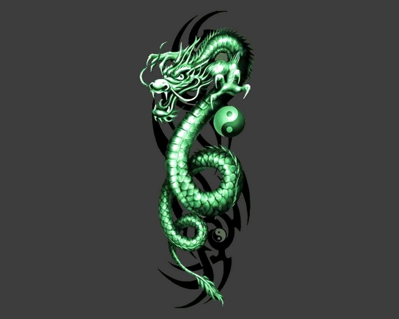 Neon Green Dragon Wallpapers Top Free Neon Green Dragon Backgrounds