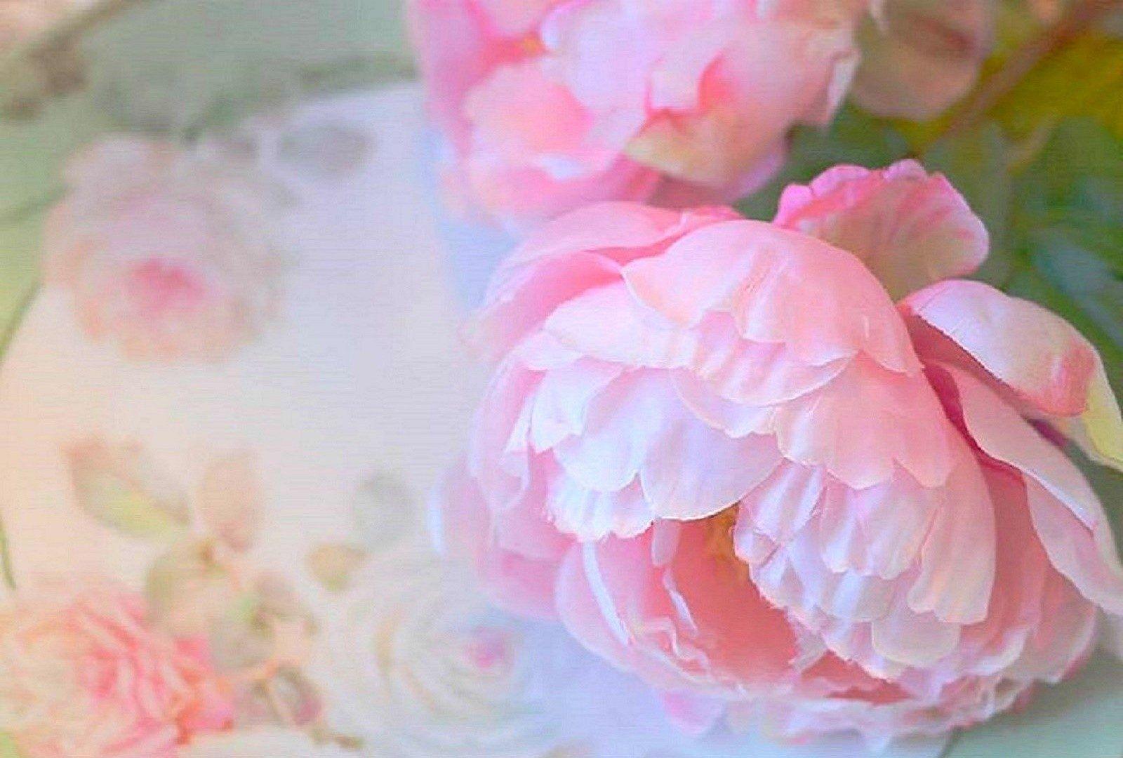 Pastel Flower Wallpapers Top Free Pastel Flower Backgrounds