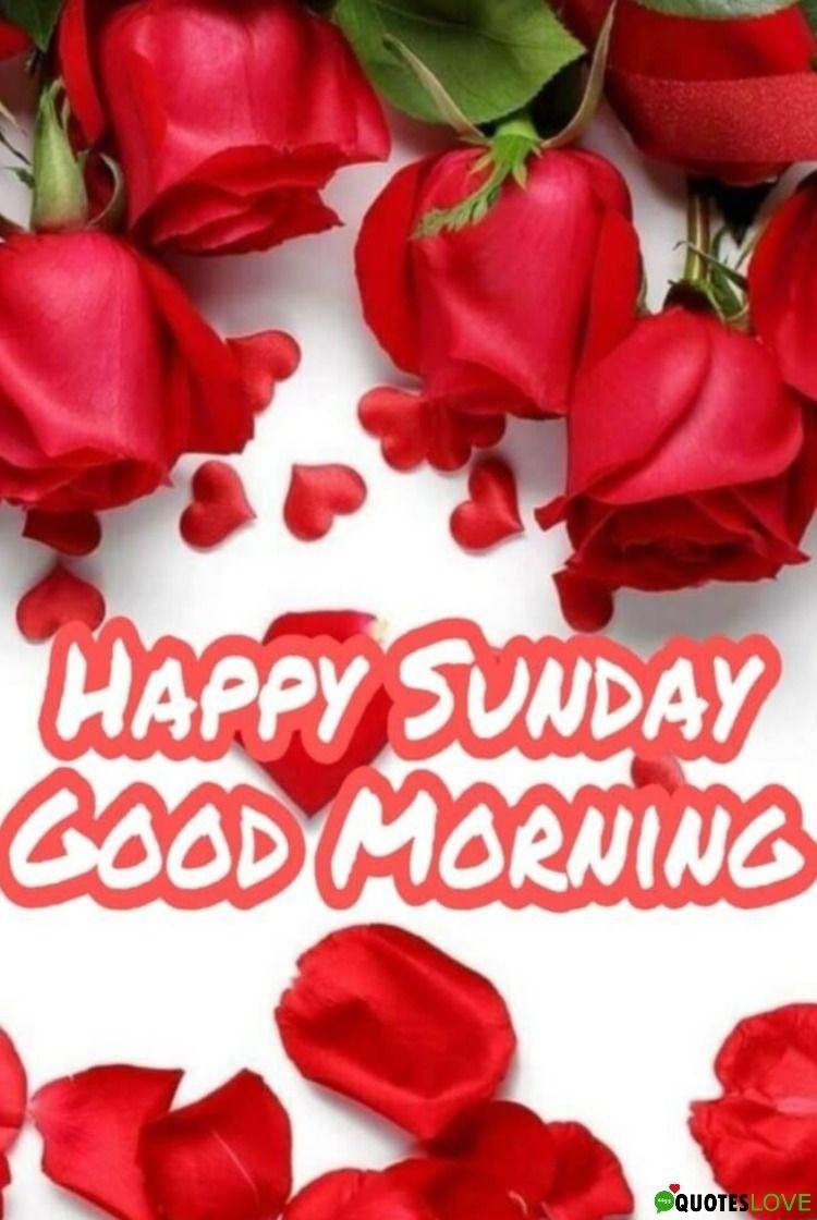 Happy Sunday Wallpapers Top Free Happy Sunday Backgrounds