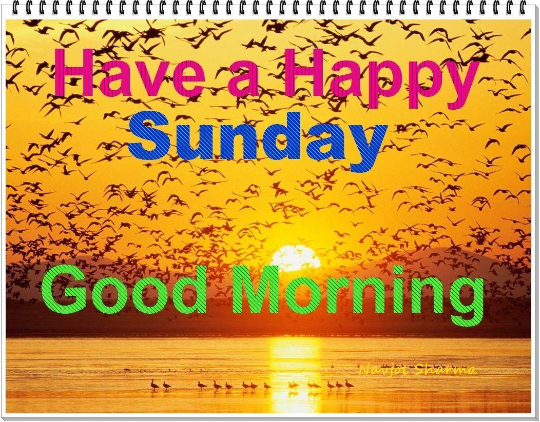 Happy Sunday Wallpapers Top Free Happy Sunday Backgrounds