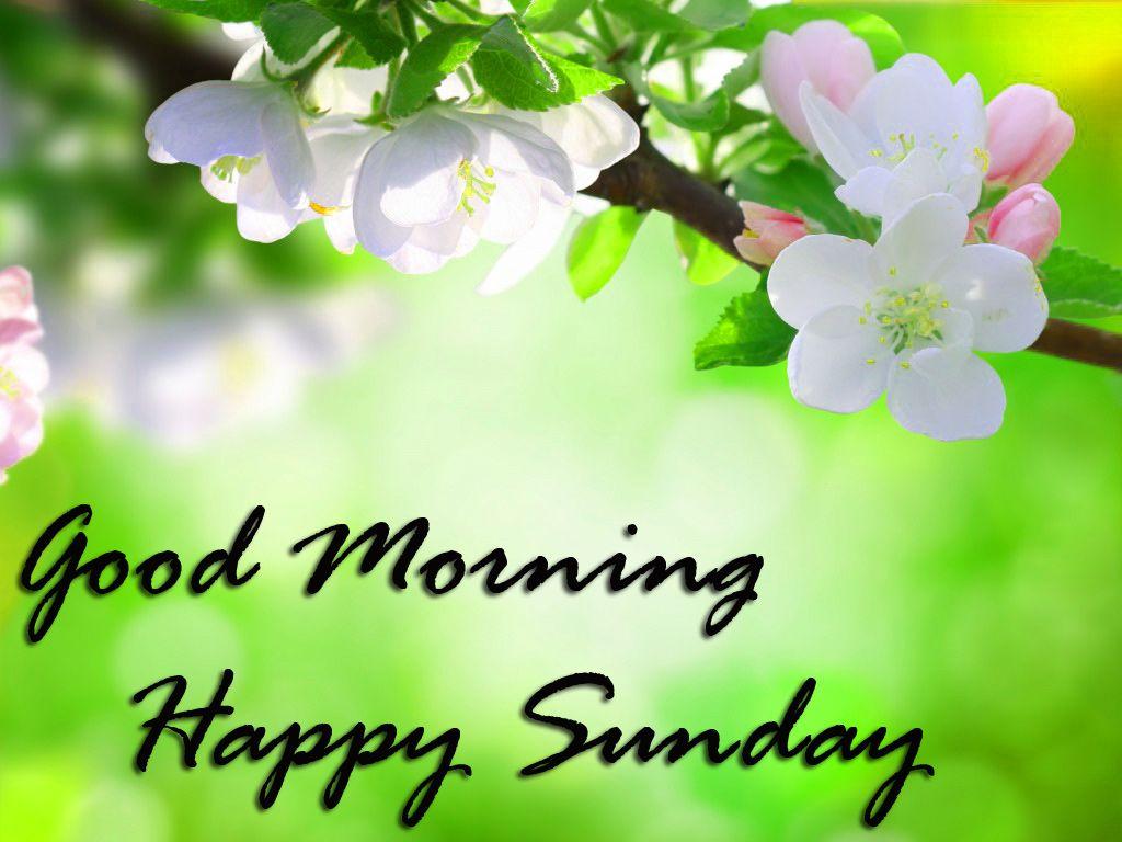 Happy Sunday Wallpapers Top Free Happy Sunday Backgrounds