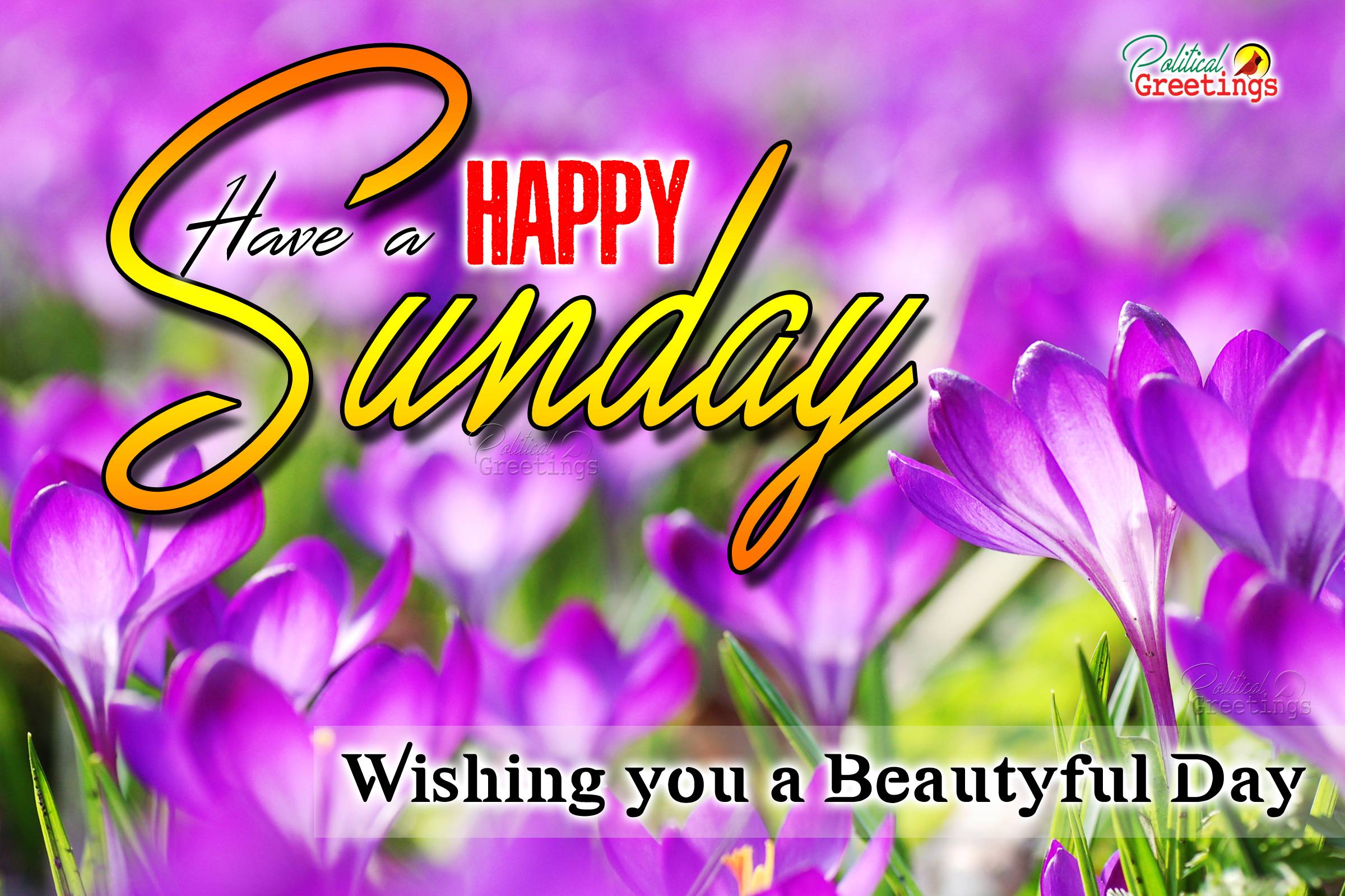 Happy Sunday Wallpapers Top Free Happy Sunday Backgrounds