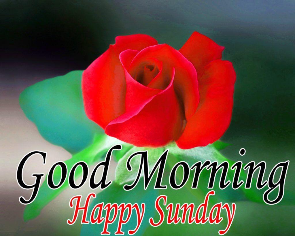 Happy Sunday Wallpapers Top Free Happy Sunday Backgrounds