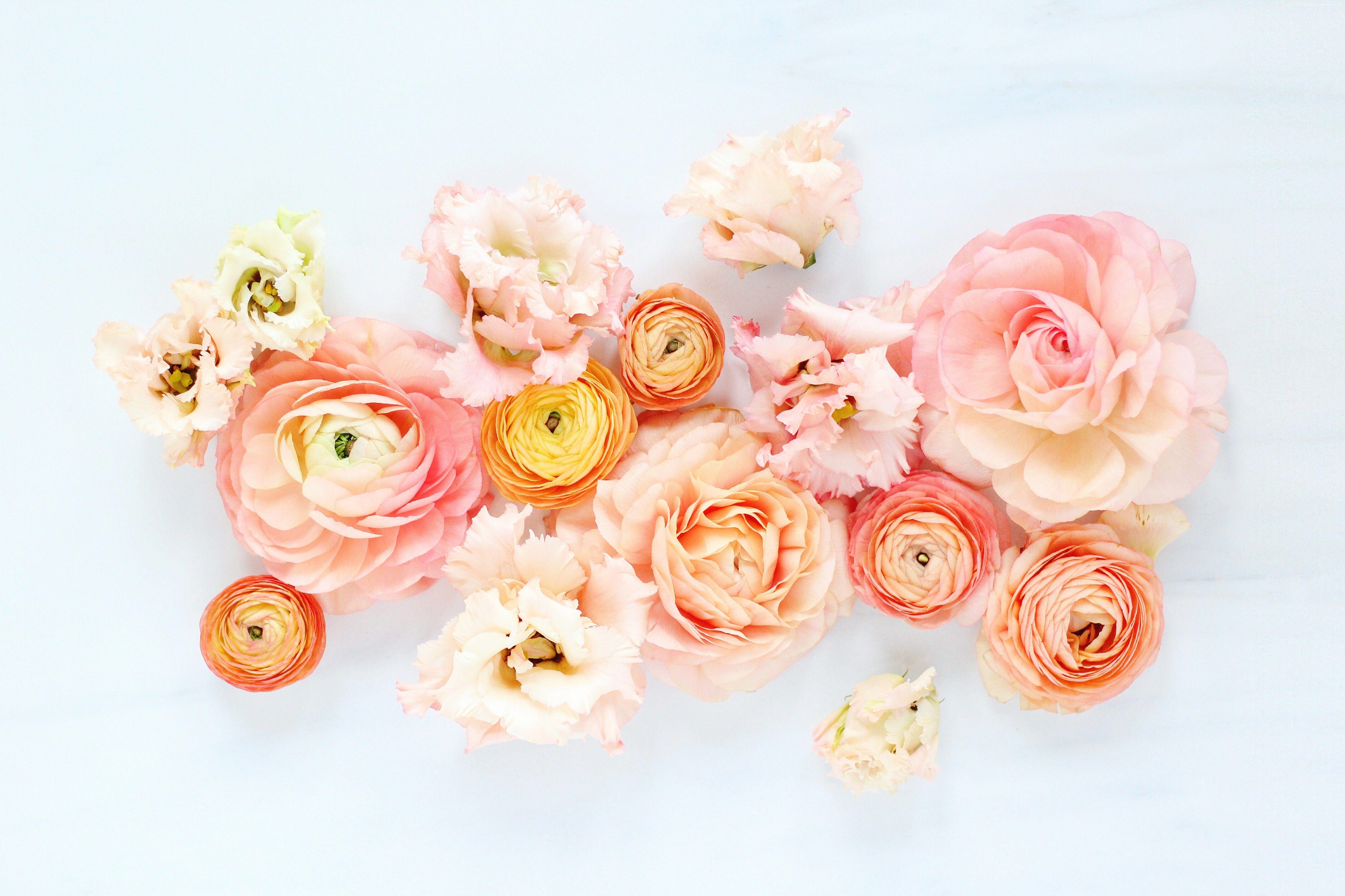 Pastel Flower Wallpapers Top Free Pastel Flower Backgrounds