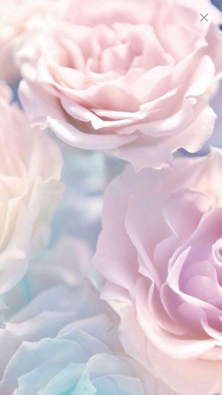 Pastel Flower Wallpapers Top Free Pastel Flower Backgrounds