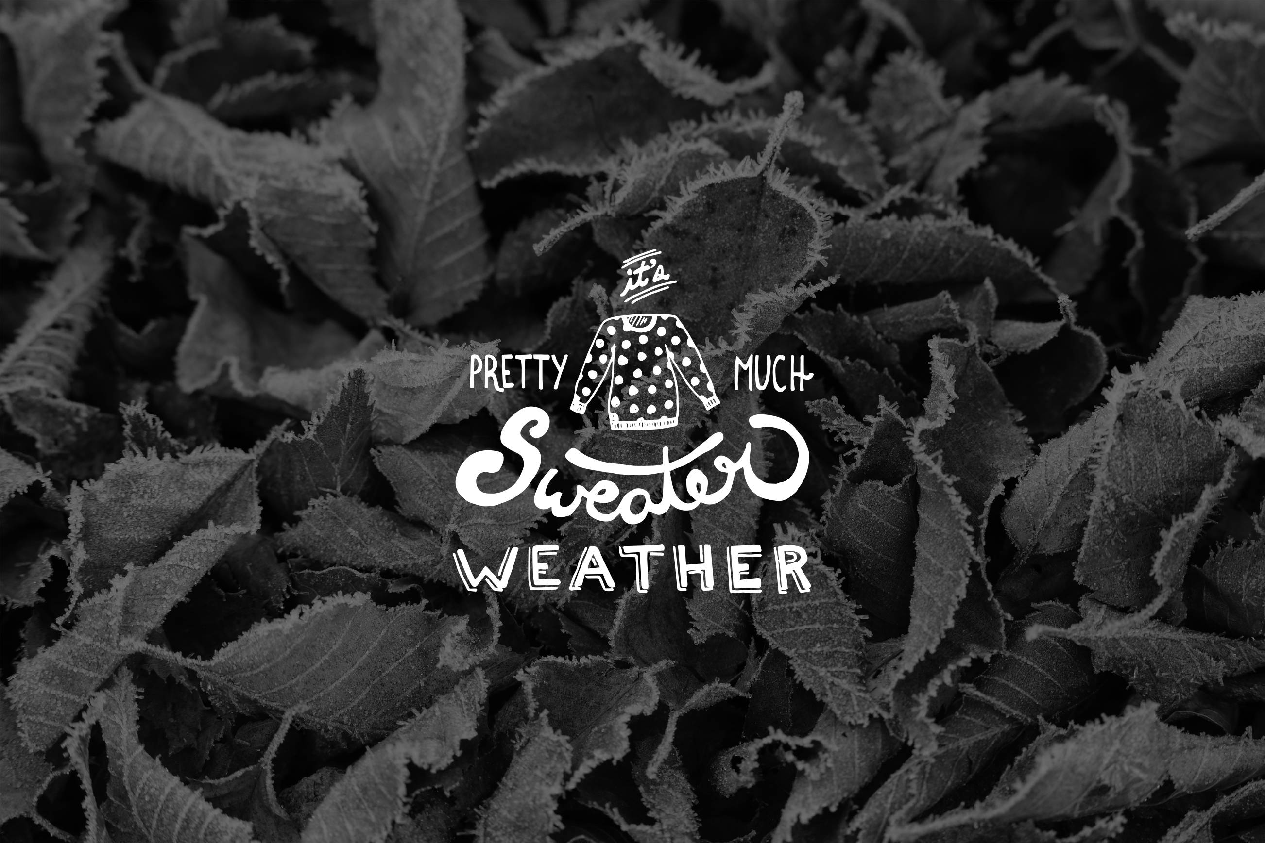 Sweater Weather Wallpapers Top Free Sweater Weather Backgrounds