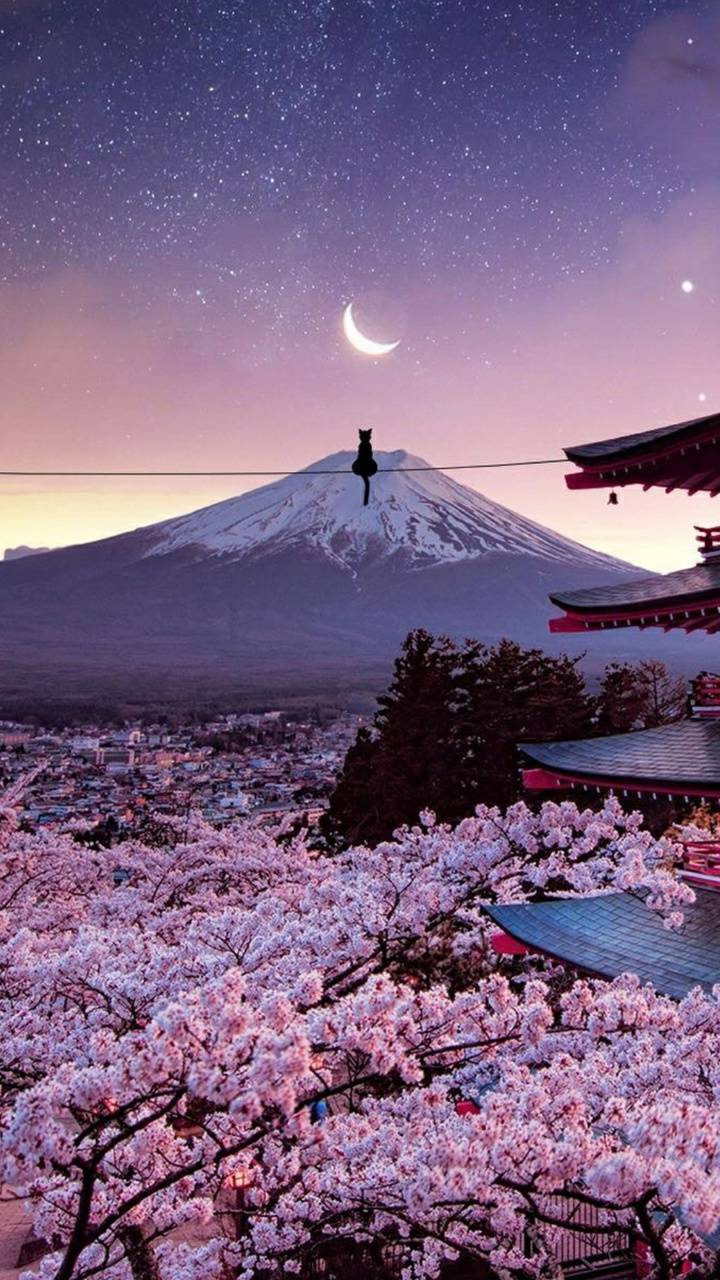 Cool Japan Wallpapers Top Free Cool Japan Backgrounds WallpaperAccess