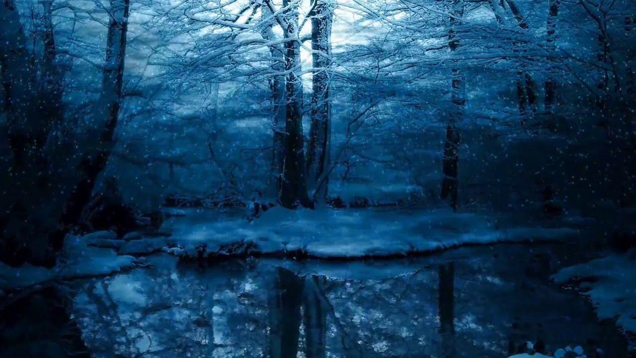 Harry Potter Forest Wallpapers Top Free Harry Potter Forest