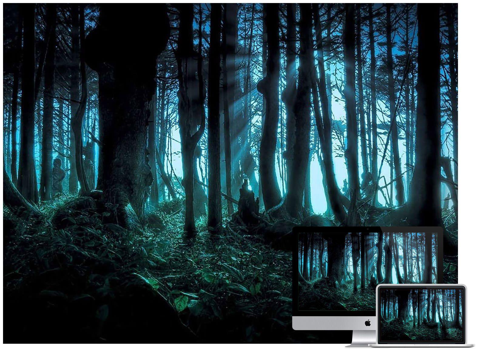 Harry Potter Forest Wallpapers Top Free Harry Potter Forest