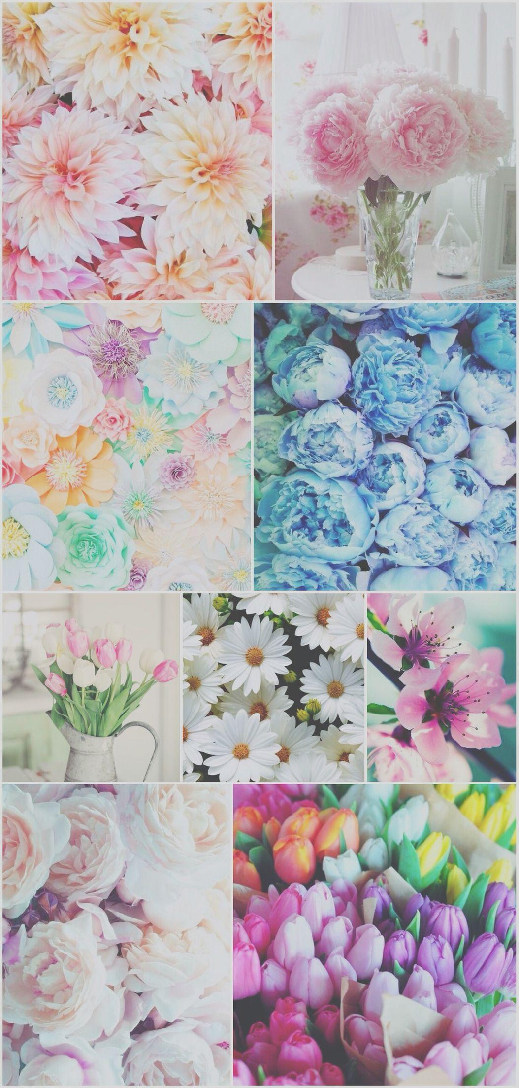 Flower Collage Wallpapers Top Free Flower Collage Backgrounds