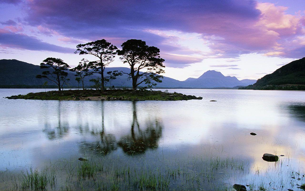 Tree Water Wallpapers Top Free Tree Water Backgrounds WallpaperAccess