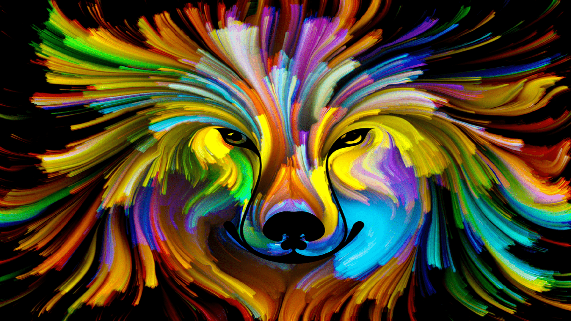 Colorful Dog Wallpapers Top Free Colorful Dog Backgrounds