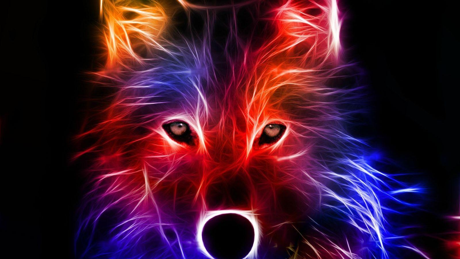 Colorful Dog Wallpapers Top Free Colorful Dog Backgrounds