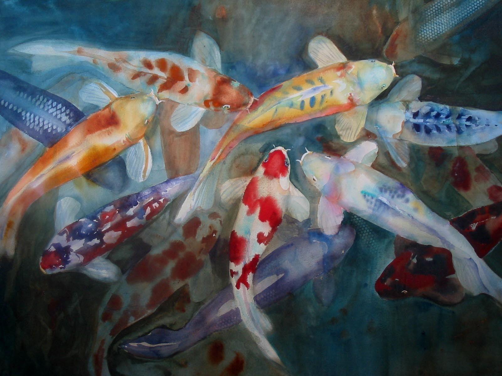 Rainbow Koi Wallpapers - Top Free Rainbow Koi Backgrounds - Wallpaperaccess 1200_x_1600_jpg