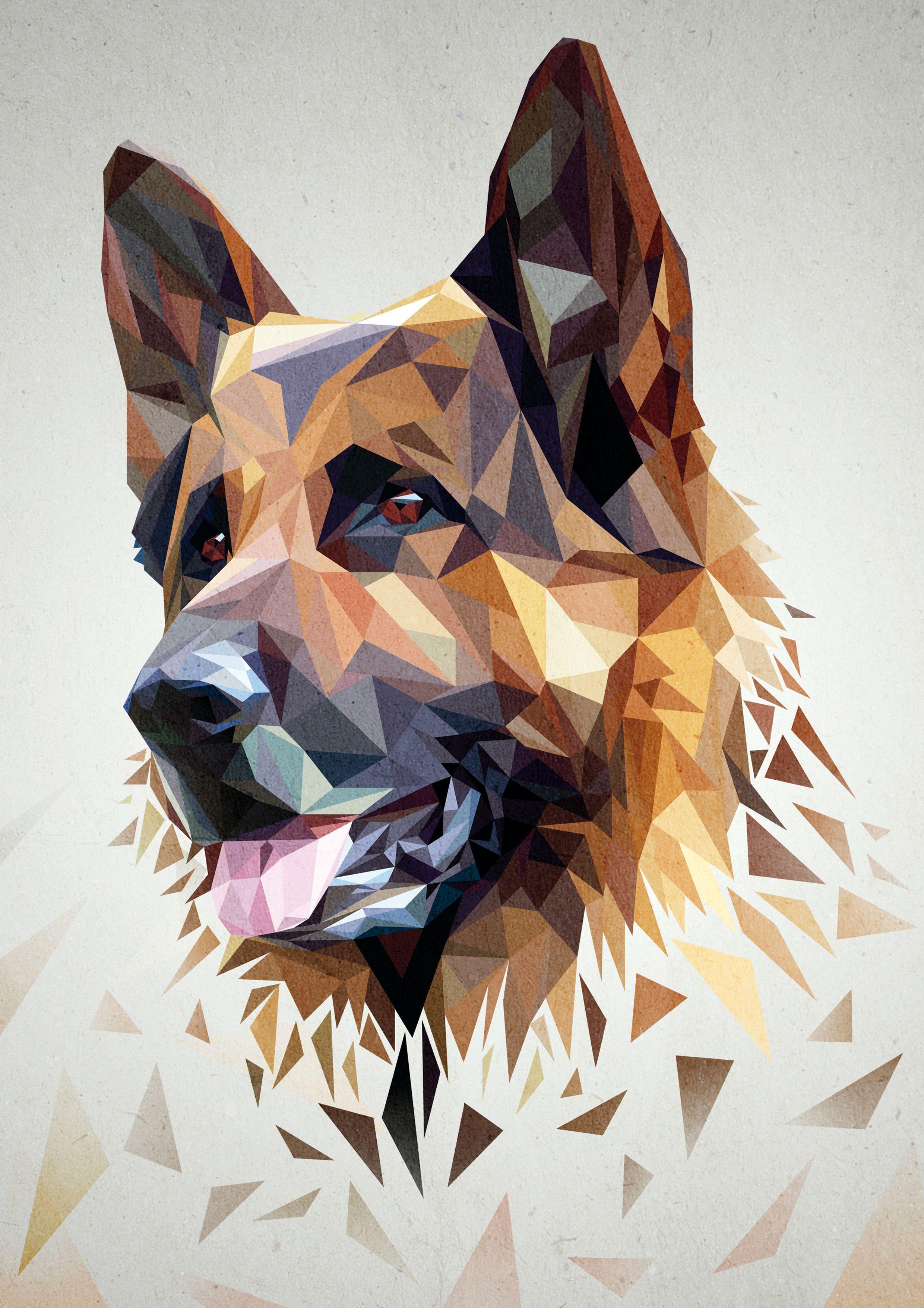 Dog Geometric Wallpapers Top Free Dog Geometric Backgrounds WallpaperAccess