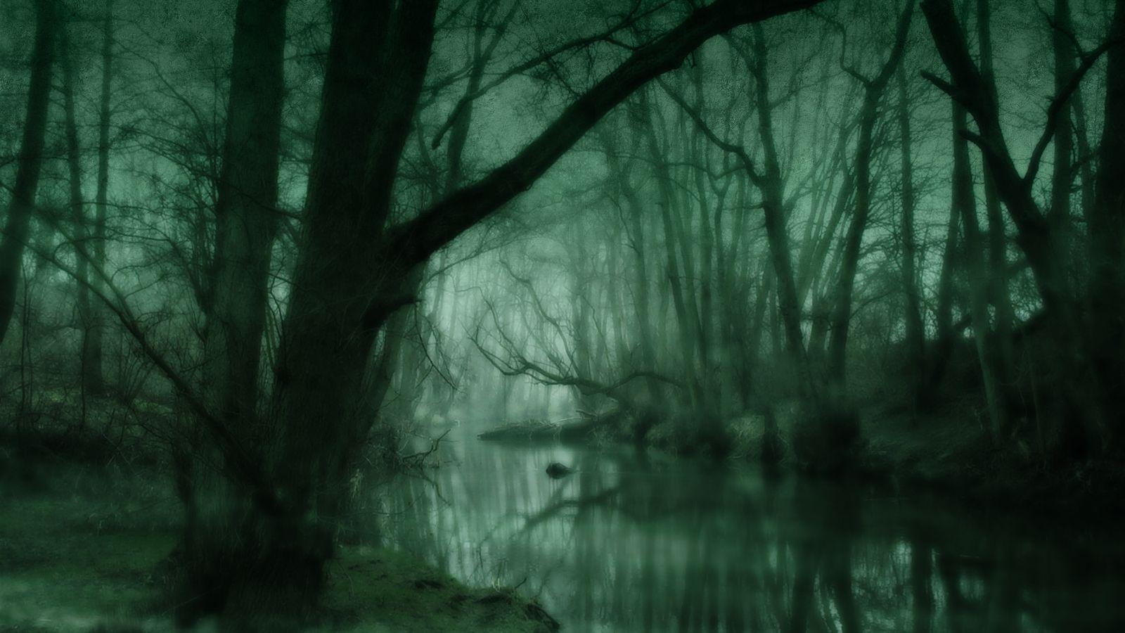 Gothic Forest Wallpapers Top Free Gothic Forest Backgrounds