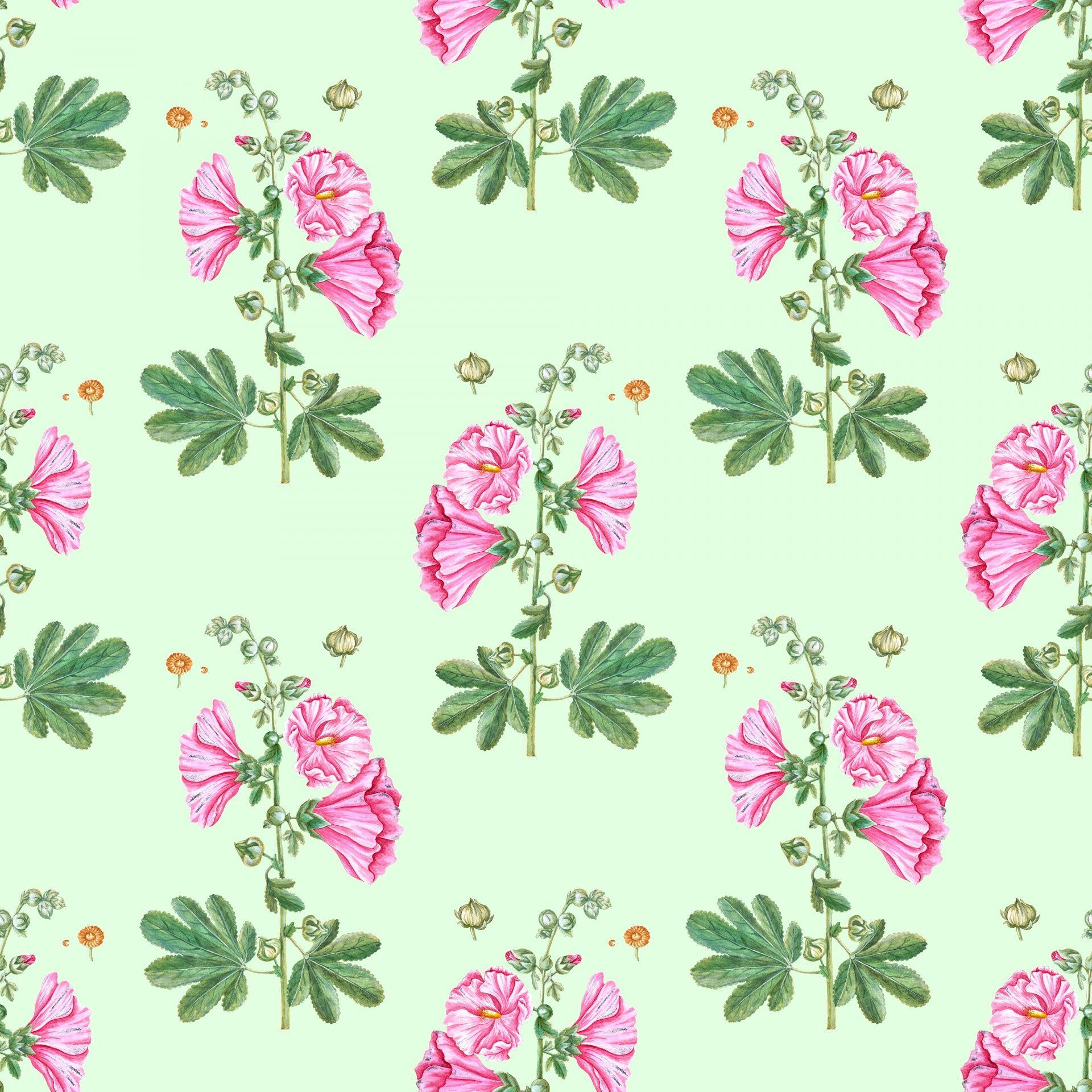 Watercolor Pink Flower Wallpapers Top Free Watercolor Pink Flower